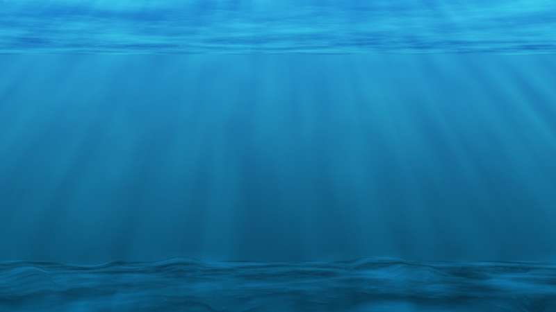 Credit: CC0 Public Domain plankton