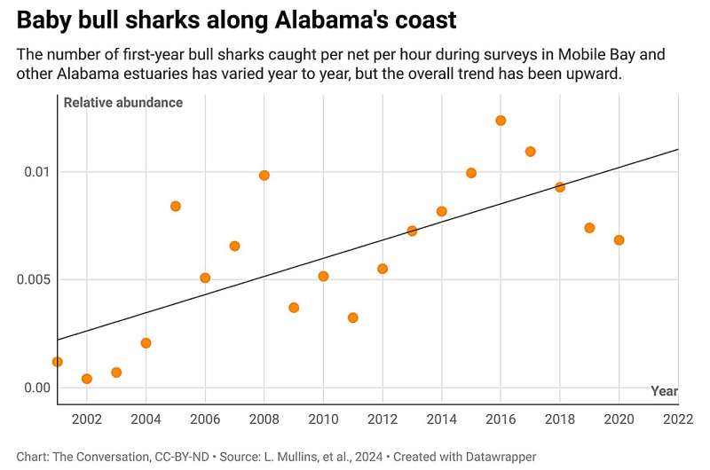 Credit: The Conversation Baby bull sharks are thriving in Texas and Alabama bays as the Gulf of Mexico warms