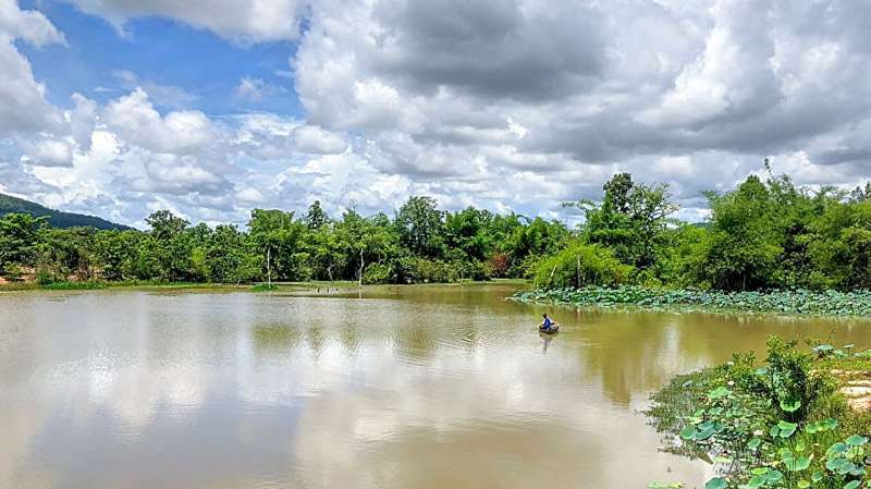 A community fish refuge within the rice field fisheries of Cambodia. Credit: Kathryn Fiorella Fish biodiversity benefits nutrition, particularly for lower income people