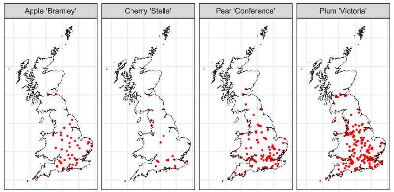 Geographic location of flowering onset record submissions for each cultivar. Credit: Horticulture Research FruitFlow: A new citizen science initiative unlocks orchard secrets