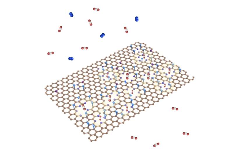 A schematic of porous graphene hosting pyridinic N (shown as purple spheres) at the pore edges. The resulting membrane is highly selective to CO2. Credit: Dr. Kuang-Jung Hsu. Highly performing graphene membranes for the capture of carbon dioxide