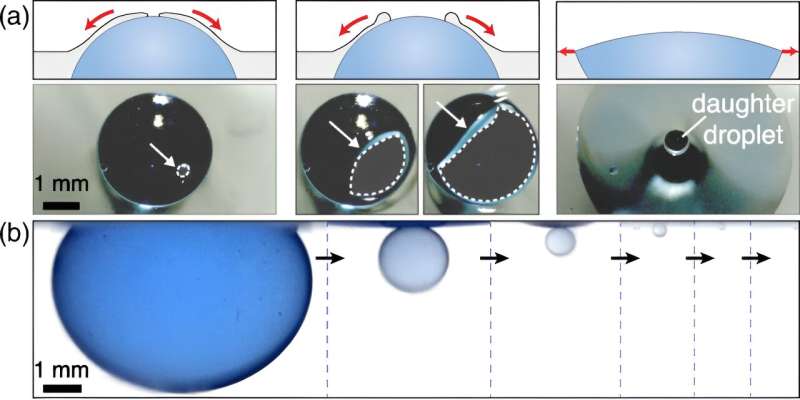 (a) Schematic (above) and top view (below) showing—hole formation, hole expansion, and spreading of drop with a submerged daughter droplet. (b) Bursting cascade forming daughter droplets leading to complete emergence. Credit: Physical Review Letters (2024). DOI: 10.1103/PhysRevLett.133.034004 How pollution may remain in water after oil spill cleanups