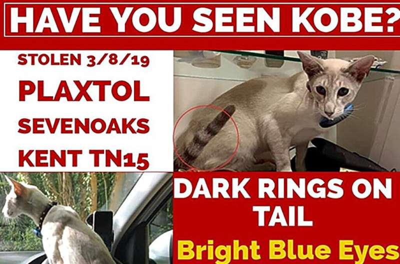 Graphical abstract. Credit: Geoforum (2024). DOI: 10.1016/j.geoforum.2024.104013 Researchers reveal pivotal role of online communities in helping those affected by pet theft