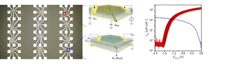 This figure shows an optical microscope image of the integrated circuit based on 1D mirror twin boundary gates (left), a schematic of the ultra-miniaturized transistor and inverter devices that constitute the circuit (center), and the performance evaluation of these devices (right). The 1D mirror twin boundary process developed by the research team was not limited to the miniaturization of individual devices but was successfully used to construct large-area, highly integrated electronic circuits. Credit: Institute for Basic Science Scientists discover way to "grow" sub-nanometer sized transistors