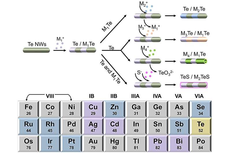 Above: Schematic illustration of the chemical conversion from Te/M1Te template, showing controllable reactions with the residual Te, the generated M1Te, and both. Below: Overview of the resulting 2nd (highlighted in purple) and 3rd generations (highlighted in indigo) from the initial 1st Te template (highlighted in yellow). Credit: Nature Communications (2024). DOI: 10.1038/s41467-024-47446-7 Stress-induced ordering evolution of 1D segmented heteronanostructures