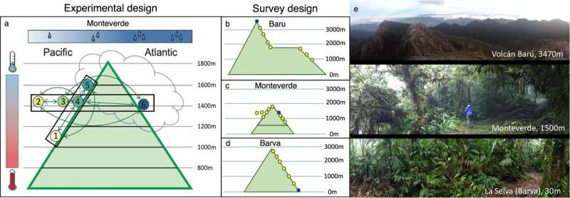Experimental and survey design. Credit: Nature Communications (2024). DOI: 10.1038/s41467-024-49181-5 Tropical plant species are as threatened by climate change as widely feared, study confirms